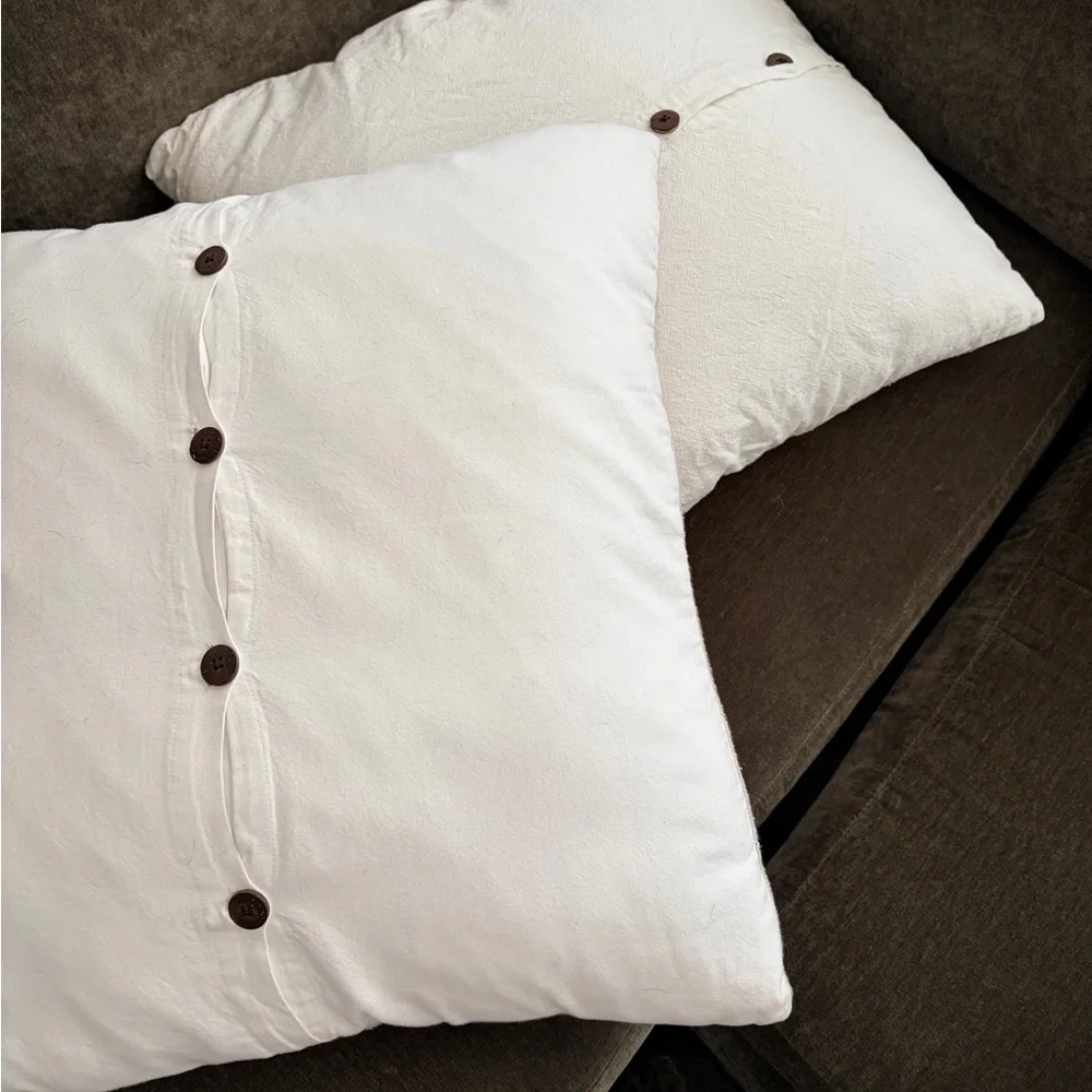 West Elm Silk Stripe Pillow Covers - Set of 2